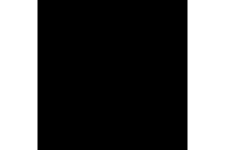 Super Black черный полированный керамогранит 600*600, Индия