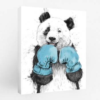 Панда в боксе